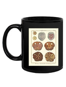 Sand Dollars Ii Mug -Denis Diderot Designs