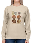 Sand Dollars Ii Sweatshirt -Denis Diderot Designs
