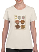 Sand Dollars Ii T-shirt -Denis Diderot Designs