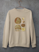Sand Dollars Iii Sweatshirt -Denis Diderot Designs