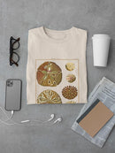 Sand Dollars Iii T-shirt Men's -Denis Diderot Designs