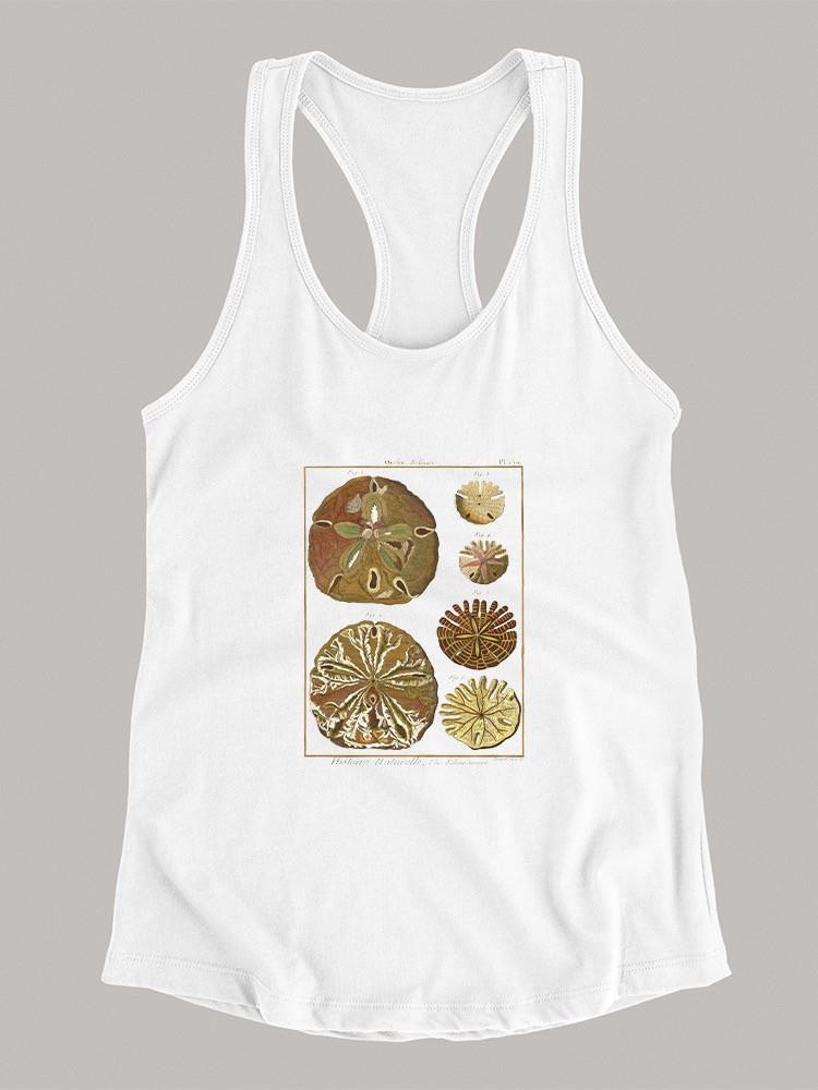 Sand Dollars Iii T-shirt -Denis Diderot Designs