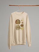 Sand Dollars Iii Sweatshirt -Denis Diderot Designs