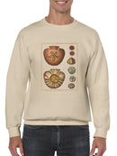 Sand Dollars Iv Sweatshirt -Denis Diderot Designs