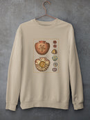 Sand Dollars Iv Sweatshirt -Denis Diderot Designs