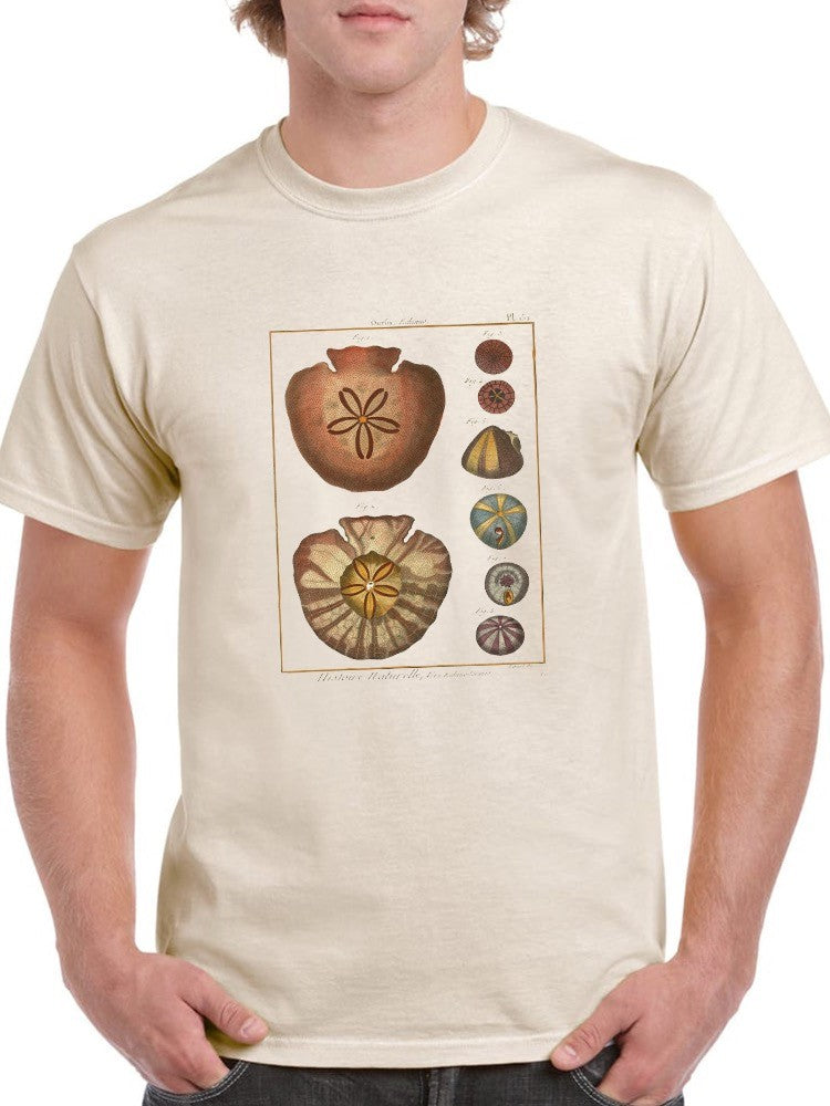 Sand Dollars Iv T-shirt Men's -Denis Diderot Designs