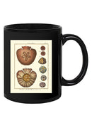 Sand Dollars Iv Mug -Denis Diderot Designs
