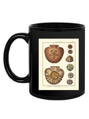 Sand Dollars Iv Mug -Denis Diderot Designs