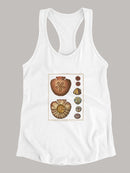 Sand Dollars Iv T-shirt -Denis Diderot Designs