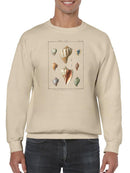 Volute Shells. Sweatshirt -Denis Diderot Designs