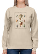 Volute Shells. Sweatshirt -Denis Diderot Designs