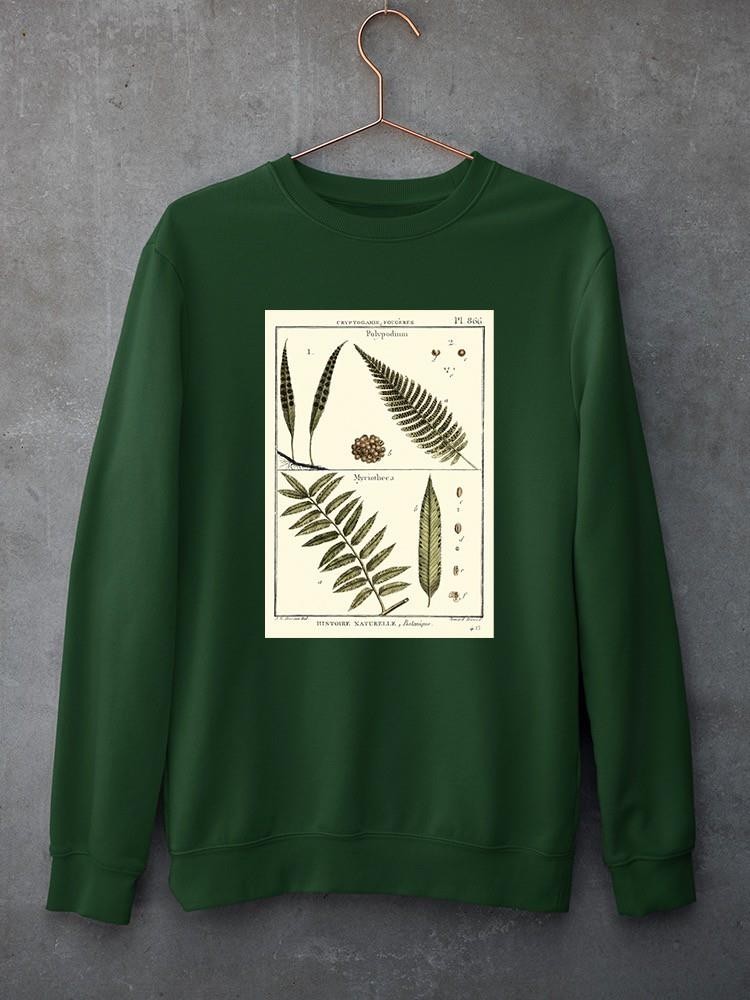 Fern Classification I Sweatshirt -Denis Diderot Designs