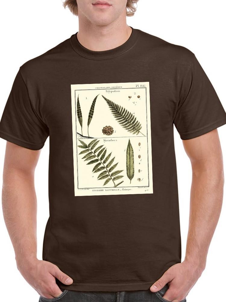 Fern Classification I T-shirt -Denis Diderot Designs