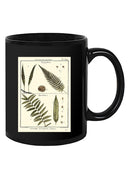 Fern Classification I Mug -Denis Diderot Designs