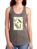 Fern Classification I T-shirt -Denis Diderot Designs