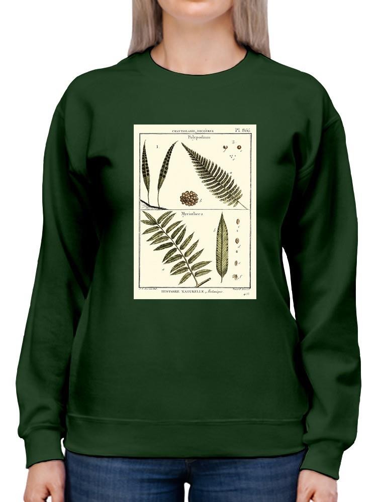 Fern Classification I Sweatshirt -Denis Diderot Designs