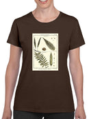Fern Classification I T-shirt -Denis Diderot Designs