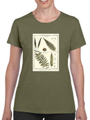 Fern Classification I T-shirt -Denis Diderot Designs