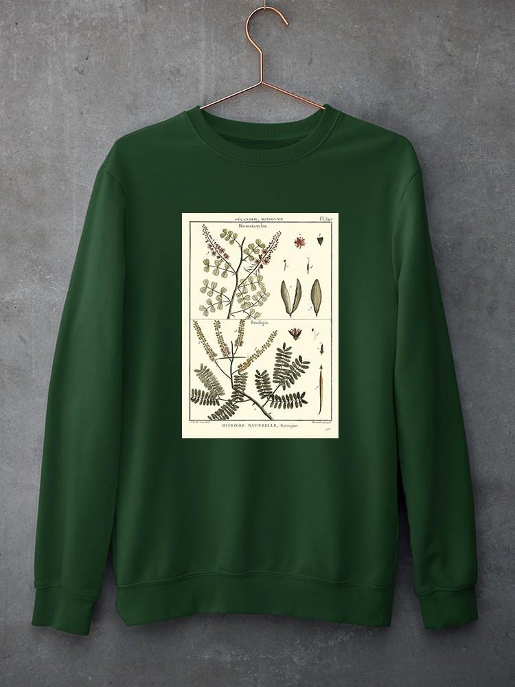 Fern Classification Ii Sweatshirt -Denis Diderot Designs