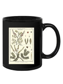 Fern Classification Ii Mug -Denis Diderot Designs