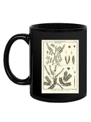 Fern Classification Ii Mug -Denis Diderot Designs