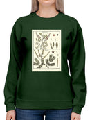 Fern Classification Ii Sweatshirt -Denis Diderot Designs