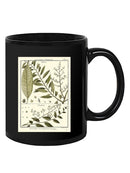 Fern Classification Iii Mug -Denis Diderot Designs