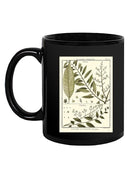 Fern Classification Iii Mug -Denis Diderot Designs