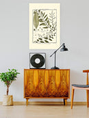 Fern Classification Iii Wall Art -Denis Diderot Designs