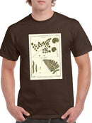 Fern Classification Iv T-shirt -Denis Diderot Designs