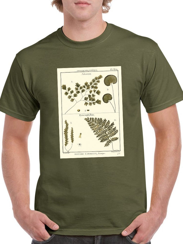 Fern Classification Iv T-shirt -Denis Diderot Designs