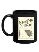 Fern Classification Iv Mug -Denis Diderot Designs