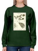 Fern Classification Iv Sweatshirt -Denis Diderot Designs