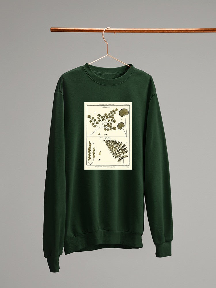 Fern Classification Iv Sweatshirt -Denis Diderot Designs