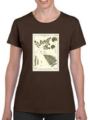 Fern Classification Iv T-shirt -Denis Diderot Designs