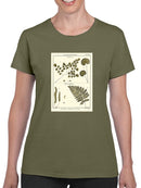 Fern Classification Iv T-shirt -Denis Diderot Designs