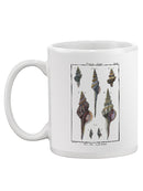 Sea Shell I Mug -Denis Diderot Designs