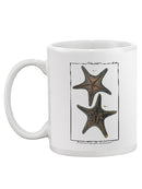 Sea Shell Xii Mug -Denis Diderot Designs