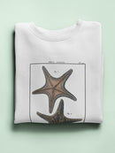 Sea Shell Xii Sweatshirt -Denis Diderot Designs