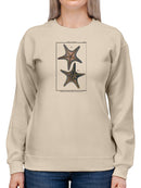 Sea Shell Xii Sweatshirt -Denis Diderot Designs