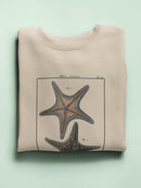 Sea Shell Xii Sweatshirt -Denis Diderot Designs