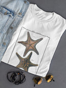 Sea Shell Xii T-shirt -Denis Diderot Designs