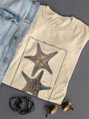 Sea Shell Xii T-shirt -Denis Diderot Designs