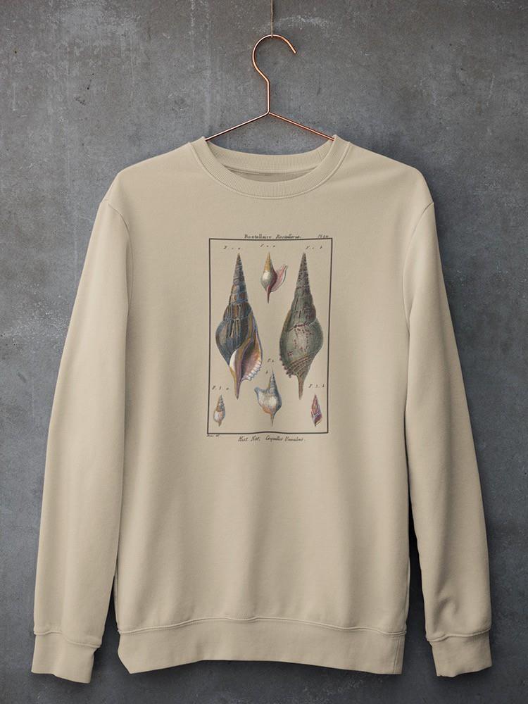 Sea Shell Iii Sweatshirt -Denis Diderot Designs