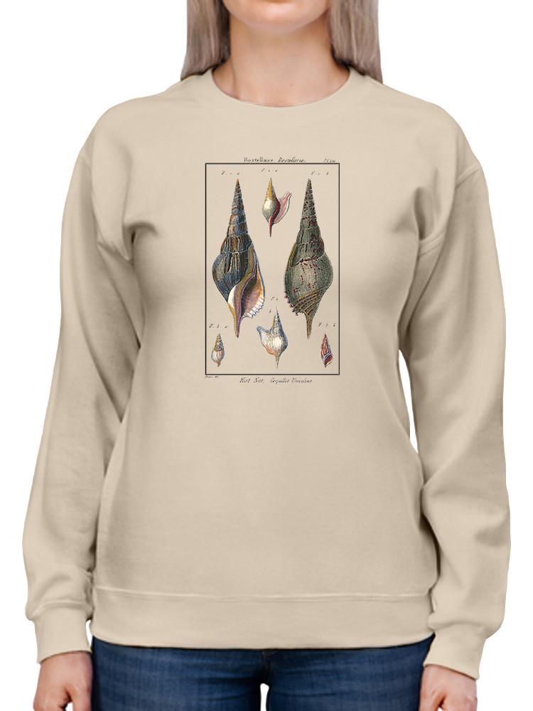 Sea Shell Iii Sweatshirt -Denis Diderot Designs