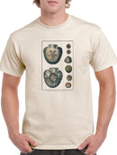 Sea Shell V T-shirt -Denis Diderot Designs
