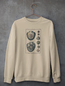 Sea Shell V Sweatshirt -Denis Diderot Designs