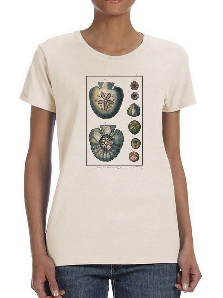 Sea Shell V T-shirt -Denis Diderot Designs