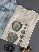 Sea Shell V T-shirt -Denis Diderot Designs