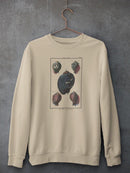 Sea Shell Vii Sweatshirt -Denis Diderot Designs